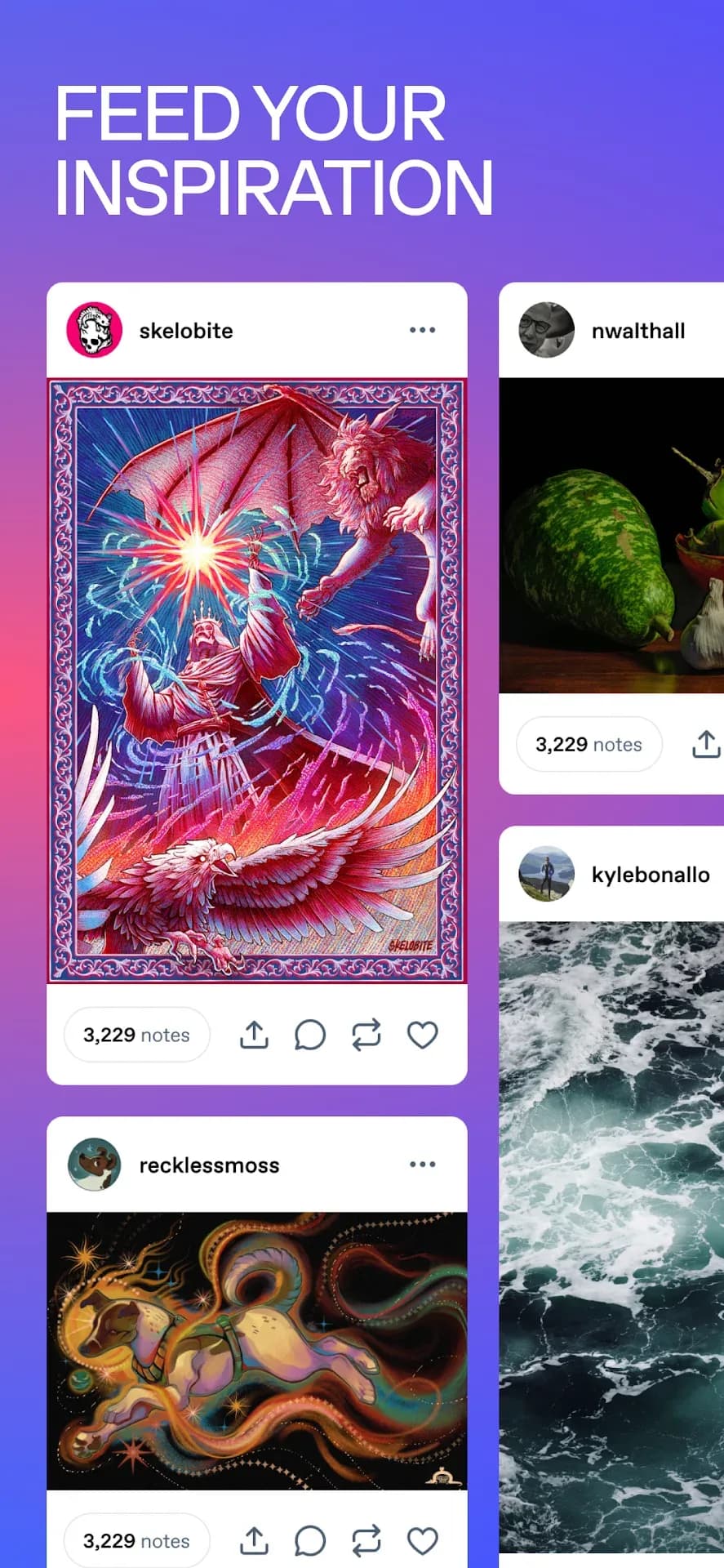 Tumblr — Captura de tela 4